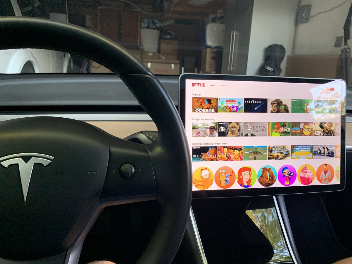 Airidebox for TESLA Cars