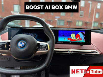 Airidebox for BMW Cars